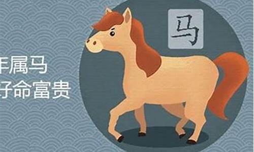 富贵一生的5大生肖属猪-富贵一生的5大生肖属猪