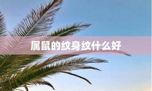 生肖属鼠的人纹什么好-属鼠合适纹什么