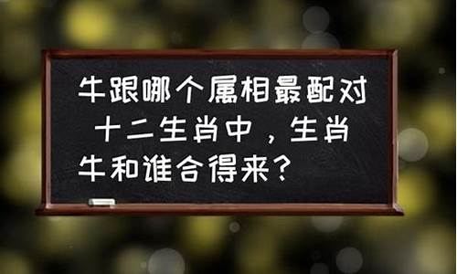 生肖牛和属啥合得来-牛和属什么的生肖合财